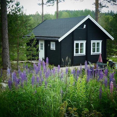Froeya Timber Cottage أرفيكا المظهر الخارجي الصورة