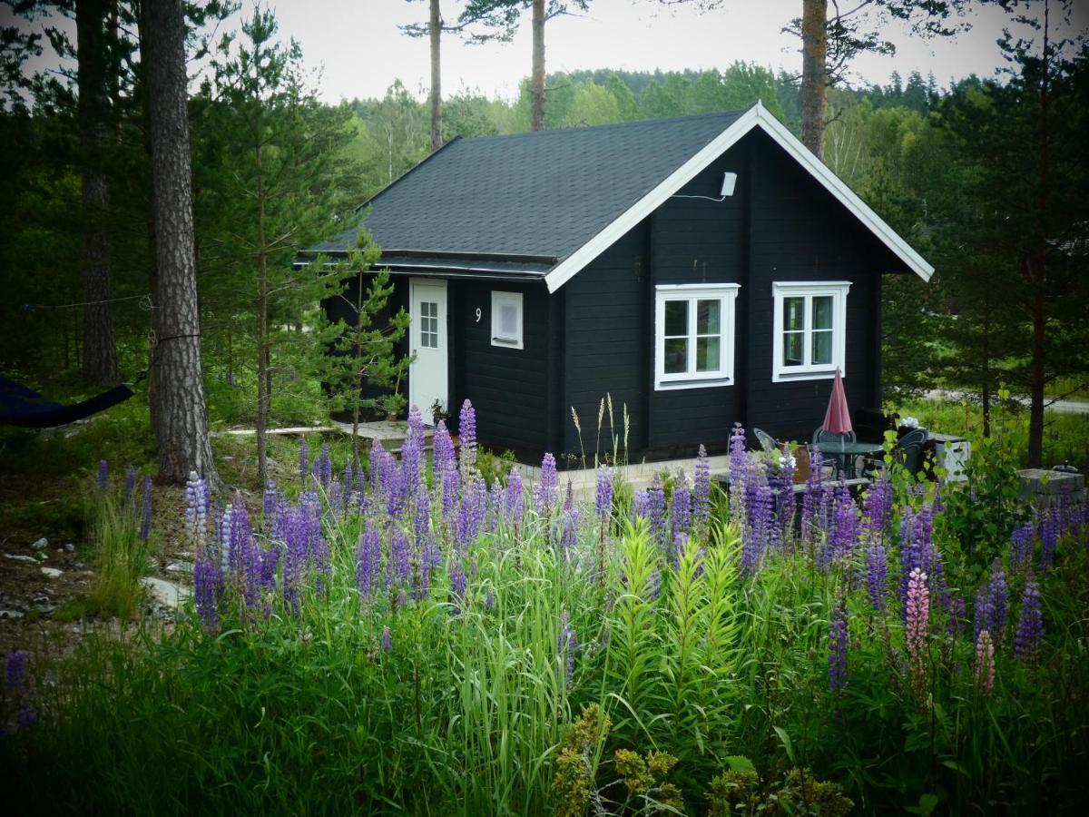 Froeya Timber Cottage أرفيكا المظهر الخارجي الصورة